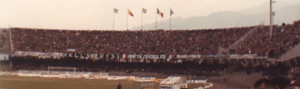 Ascoli_Fioren_c.jpg