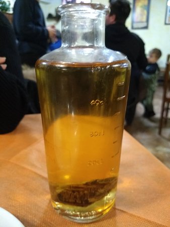 genziana di foce.jpg