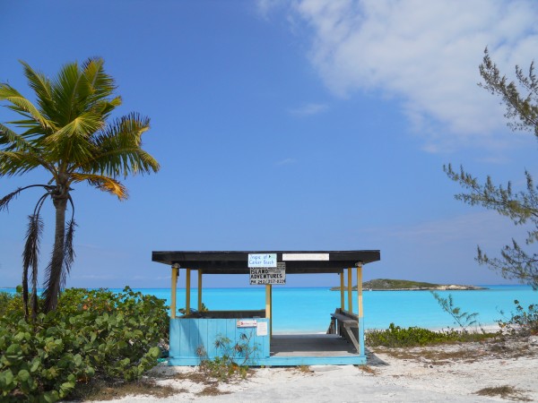 Tropico cancro.jpg