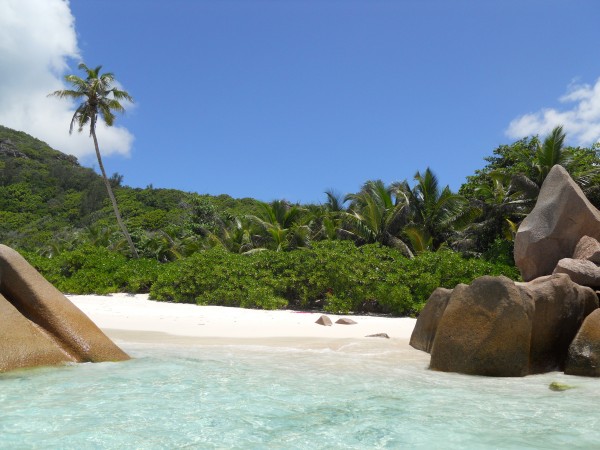 anse cocos.jpg